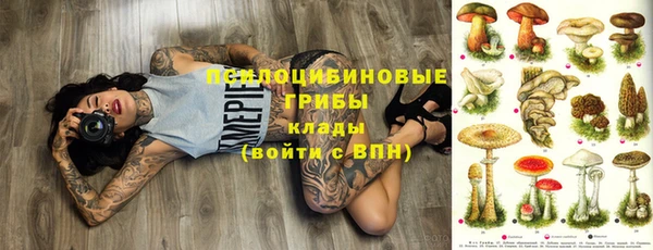 мдма Богданович