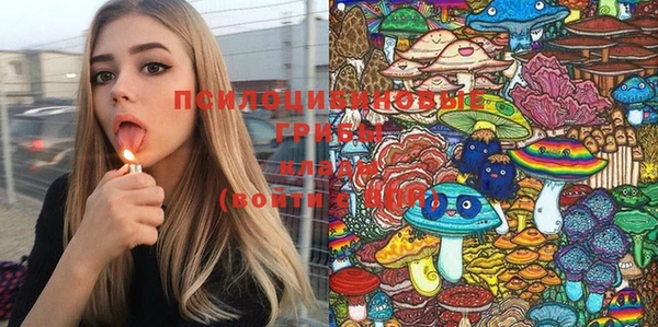 мдма Богданович