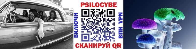 Псилоцибиновые грибы Magic Shrooms  Норильск 